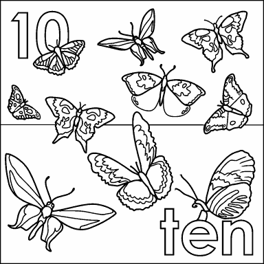 Ten Butterflies