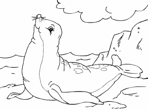 Seal