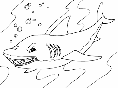 Shark