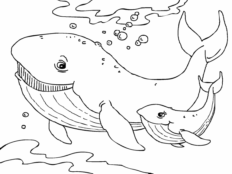 Humpback Whales coloring page - Coloring Pages 4 U