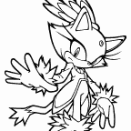 Blaze the Cat