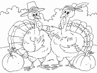 Turkeys